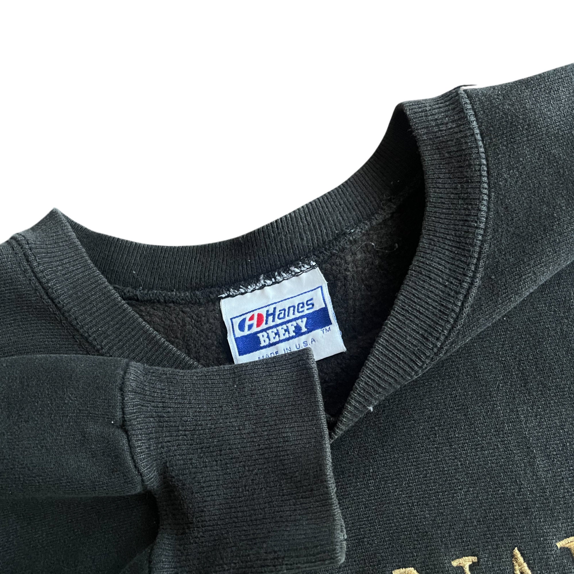 Vintage 90's Hanes AF 1993 Champs Crewneck (L)