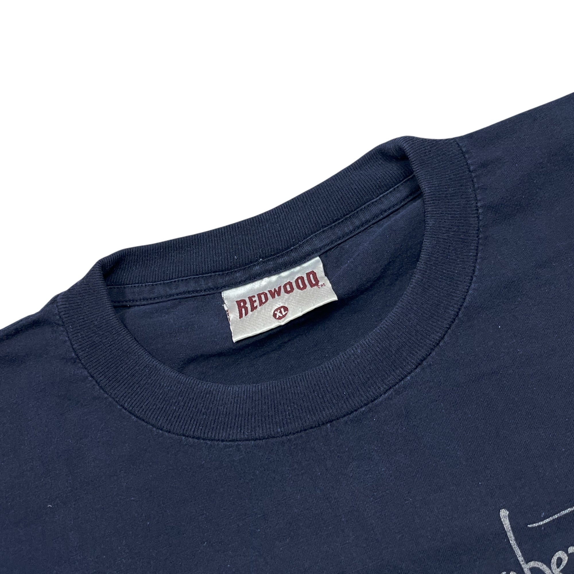 Vintage 1998 Jimmy Page Robert Plant Tour T-shirt (XL)